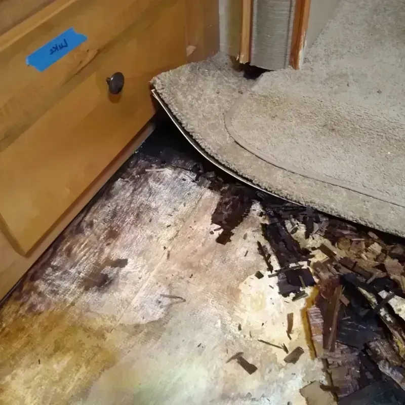 Wood Floor Water Damage in Woodlawn, MD